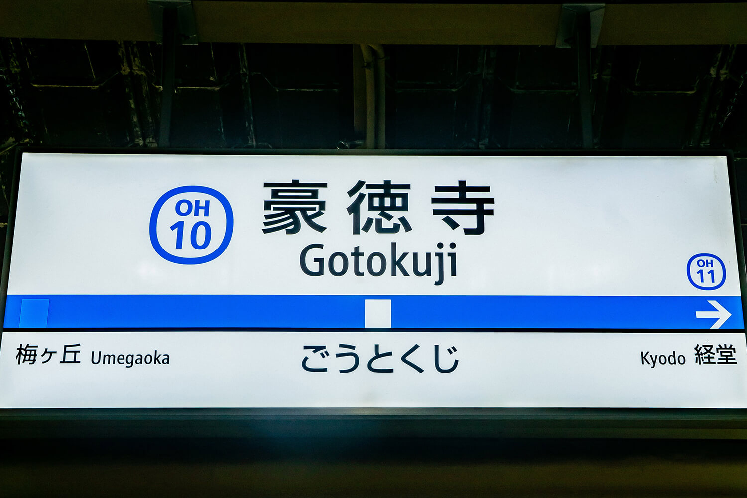豪徳寺の宅配クリーニング1